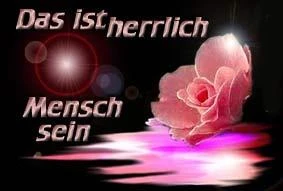 MenschNorbi