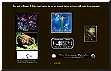 Banner und Links