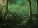 wald1klein